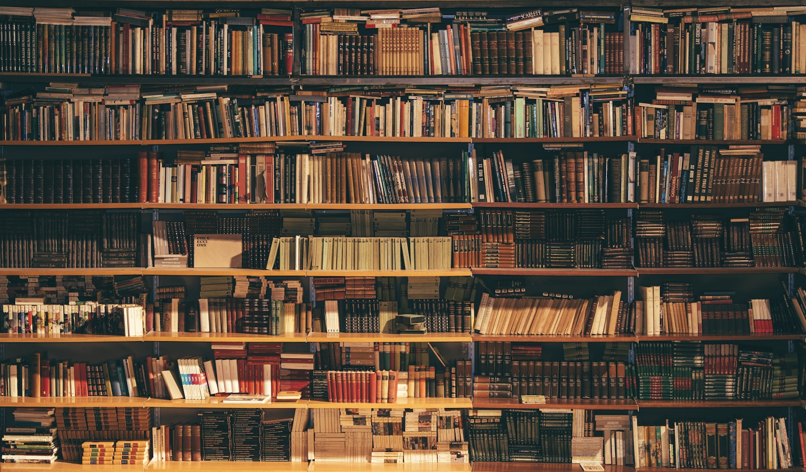 Archive shelves with indexed documents